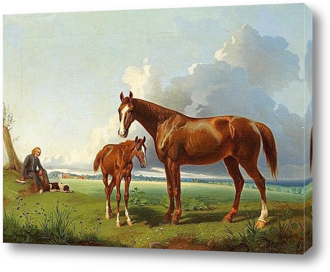 Картина Лошадь с жеребенком