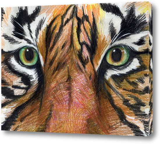 Голубые глаза тигра: подборка картинок