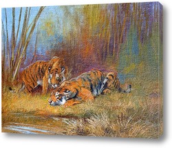  Картина Тигры у водопоя