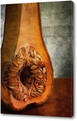 Анатомия тыквы.Тыква с лимоном и дистиллированной водой 