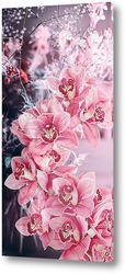  Цветущая орхидея