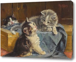    Три котенка на голубом полотне 