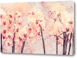   Картина Нежные орхидеи
