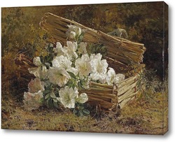   Картина Белые азалии и мимозы в плетеной корзине