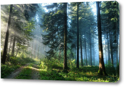   Картина Водопады и леса 39438