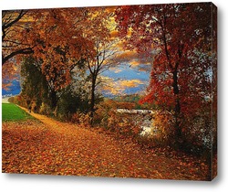  Осенняя дорога