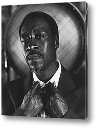   Картина Don Cheadle-2