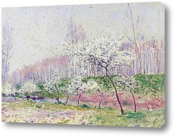   Картина Яблоки в цвету