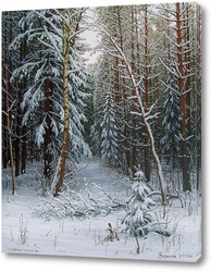    И дремлет зимний лес