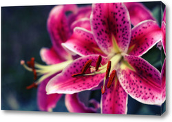   Картина Цветы 90755