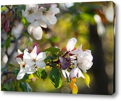   Картина Волшебство весенних яблонь