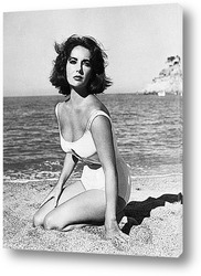  Elizabeth Taylor-27