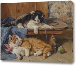   Картина Два играющих котенка