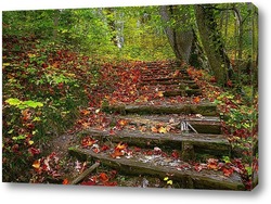   Картина лестница в осеннем лесу