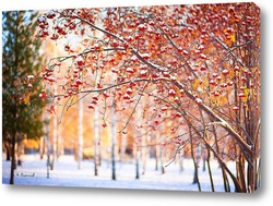  Картина Деревья рябины на фоне первого снега.