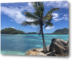   Картина Тропический пейзаж с пальмой