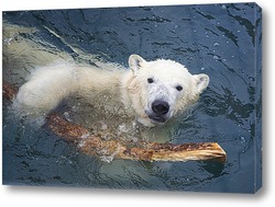   Картина белый медвежонок