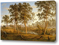   Картина Туземцы на реке Уз.Тасмания