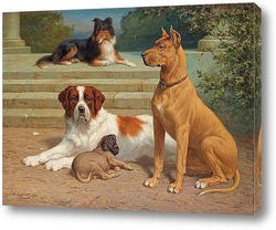   Картина Группа собак на лестнице