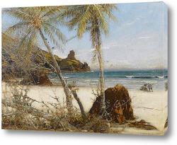    Пляж Коралл