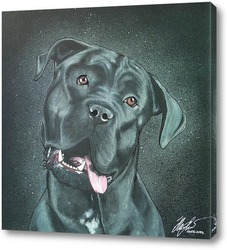   Картина Чёрный пёс.