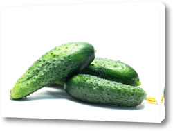   Картина Fresh cucumbers isolated on white