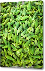   Картина Зеленые ростки перца