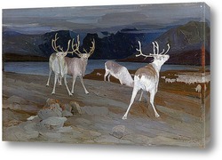  Леопард 2004