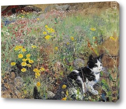    Кошка на цветочном лугу