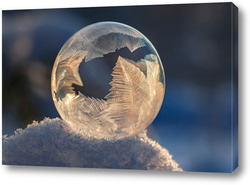   Картина Замёрзший  мыльный пузырь