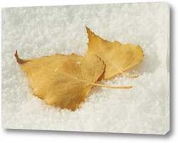   Картина Берёзовые листья на снегу
