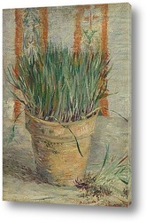   Картина Горшок с чесноком и зеленым луком