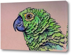    Зеленый попугай