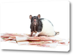   Картина Крыса с деньгами.