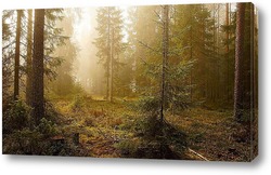   Картина Туманное утро ву лесу