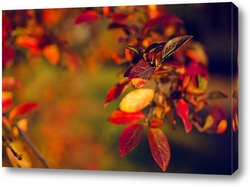   Картина Осенние листья