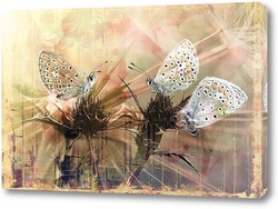    Три бабочки