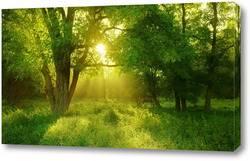   Картина Пейзажи 34284