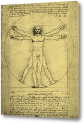   Картина Leonardo da Vinci-25