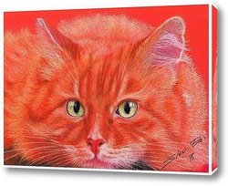   Картина Огненный кот