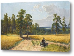  Запруда, 1895