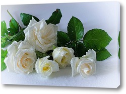   Картина Про белые розы