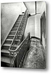    Лестница в многоквартирном доме, Нью-Йорк, 1905