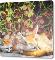   Картина Спящие лисички
