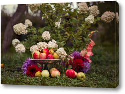   Картина Осенние яблоки