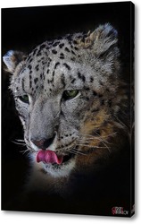   Картина Леопард