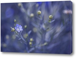   Картина Голубые цветочки