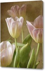  Картина Розовые тюльпаны