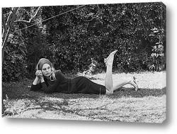   Картина Brigitte Bardot-04