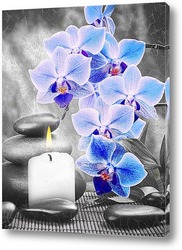   Картина Голубые орхидеи